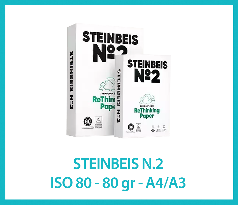 STEINBEIS N.2